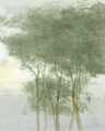 Image Not Available